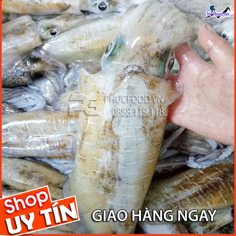 Mực loại 1 Cung cấp mực Hòa Bình hải sản tươi sống giá sỉ tốt rẻ (2)