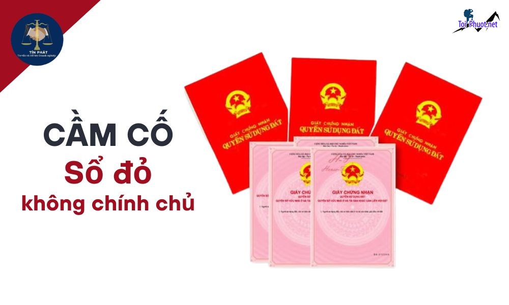 Tiệm Dịch vụ cầm đồ nhà đất sổ đỏ hồng bđs Đồng Xoài Bình Phước lãi suất thấp 1, Uy tín nhanh gọn bảo mật giá rẻ cam kết an toàn (2)