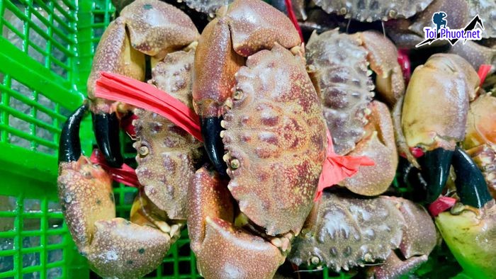 Top 10 Địa chỉ bán hải sản tươi sống chất lượng nhất Đắk Lắk được đánh giá cao (1)