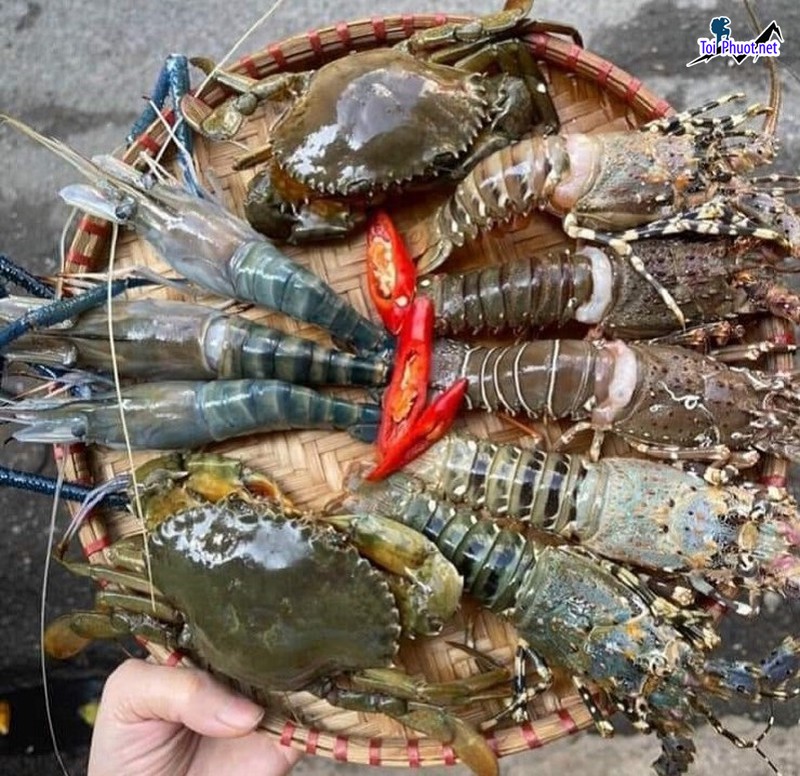 Top 10 Địa chỉ bán hải sản tươi sống chất lượng nhất Đắk Lắk được đánh giá cao (2)