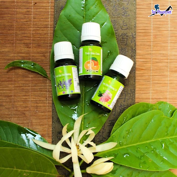 Top 10 Địa chỉ mua tinh dầu tốt nhất Hồ Chí Minh nguyên chất thiên nhiên (2)