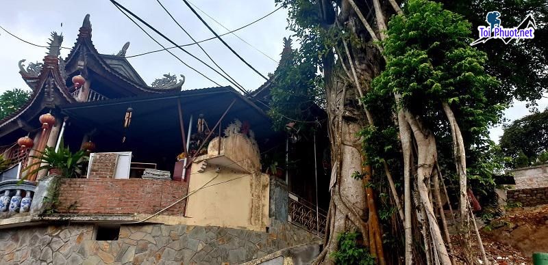 Top 10 Địa điểm đi chơi cuối tuần tại Hải Phòng càng thêm ý nghĩa (4)