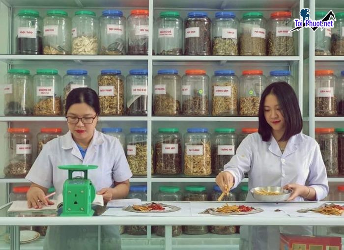 Top 10 Phòng khám Đông y nổi tiếng và uy tín nhất Hồ Chí Minh chửa bằng cả trái tim (1)