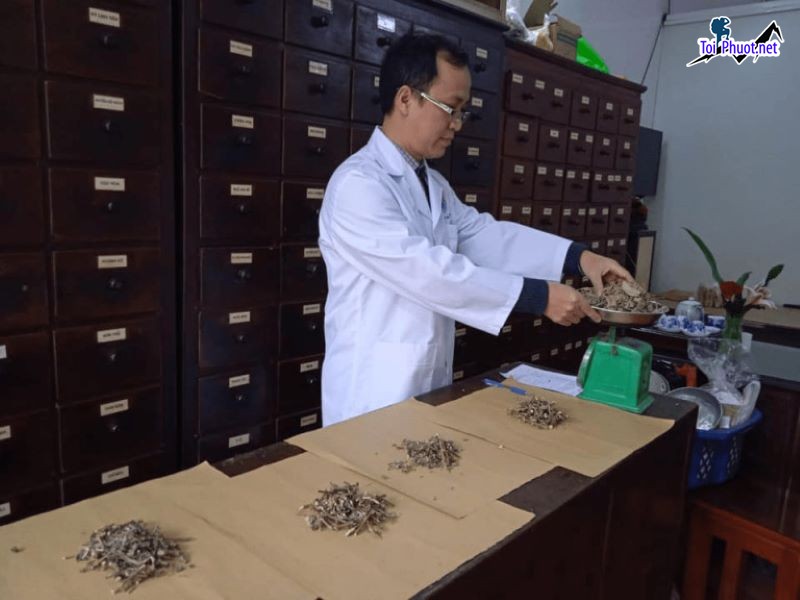 Top 10 Phòng khám Đông y nổi tiếng và uy tín nhất Tuyên Quang trị dứt điểm (2)