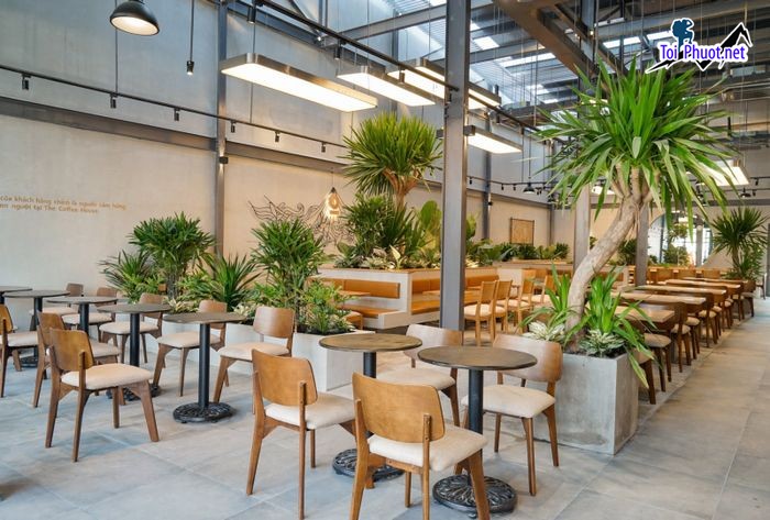 Top 10 Quán cafe đẹp nhất Tây Ninh đắm chìm trong hương vị thơm ngon của những ly cà phê  (2)