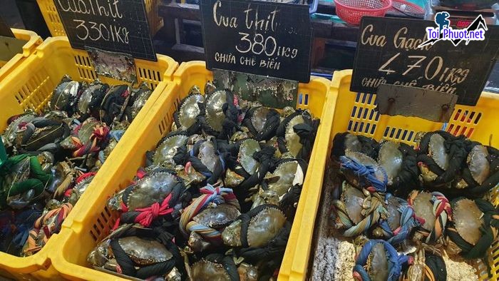 Top 11 Địa chỉ bán hải sản tươi sống chất lượng nhất Hồ Chí Minh tươi khỏe mạnh (4)