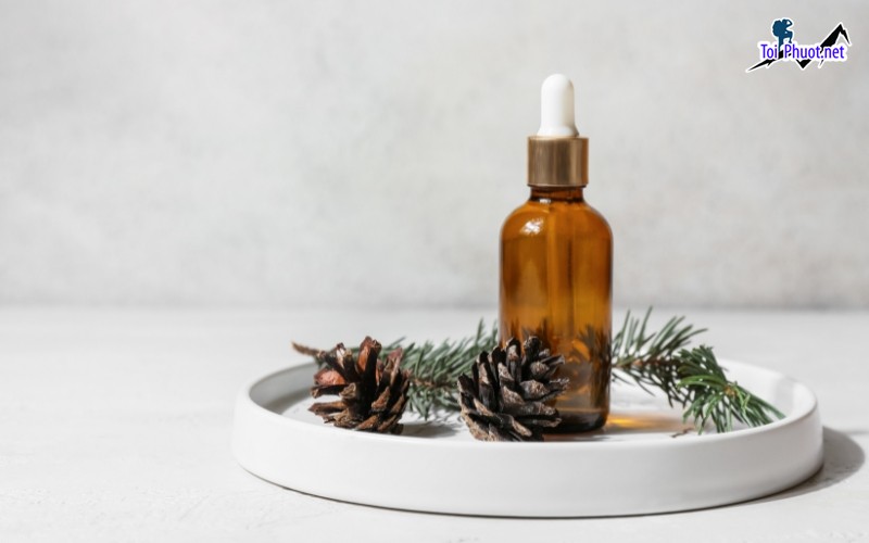 Top 11 Địa chỉ mua tinh dầu tốt nhất Cao Bằng đảm bảo an toàn tuyệt đối (3)