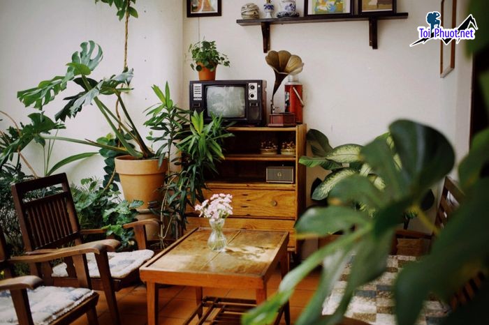 Top 11 Quán cafe đẹp nhất Đồng Tháp lý tưởng cho bạn trẻ, với không gian rộng, thiết kế đẹp mắt (7)