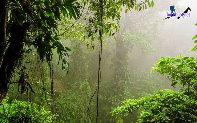 Top 15 Địa điểm đi chơi cuối tuần tại Hà Tĩnh làm say lòng du khách (3)