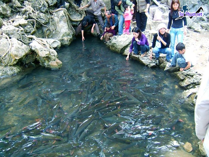 Top 15 Địa điểm đi chơi cuối tuần tại Thanh Hóa tuyệt đẹp chưa chắc bạn đã biết (4)
