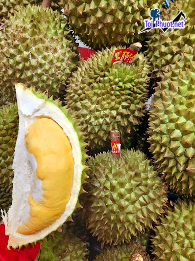 Top 4 Địa chỉ bán trái cây nhập khẩu chất lượng Lạng Sơn chất lượng lên hàng đầu (1)