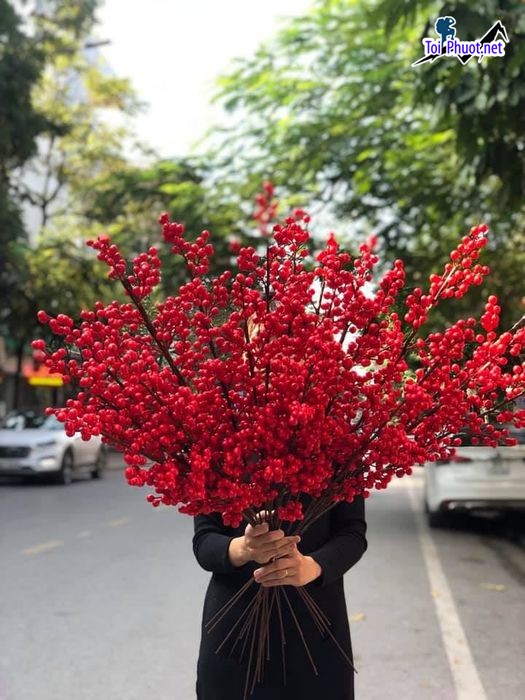 Top 5 Địa chỉ bán hoa giả đẹp nhất Cà Mau cực kì thu hút (1)