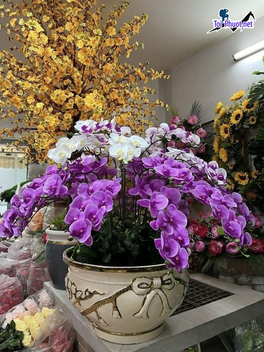 Top 5 Địa chỉ bán hoa giả đẹp nhất Đồng Tháp được tin tưởng và yêu thích (1)