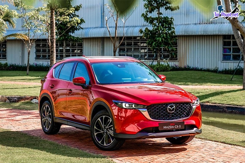 Top 5 Địa chỉ mua bán xe ô tô cũ uy tín nhất Đồng Tháp một lựa chọn hấp dẫn