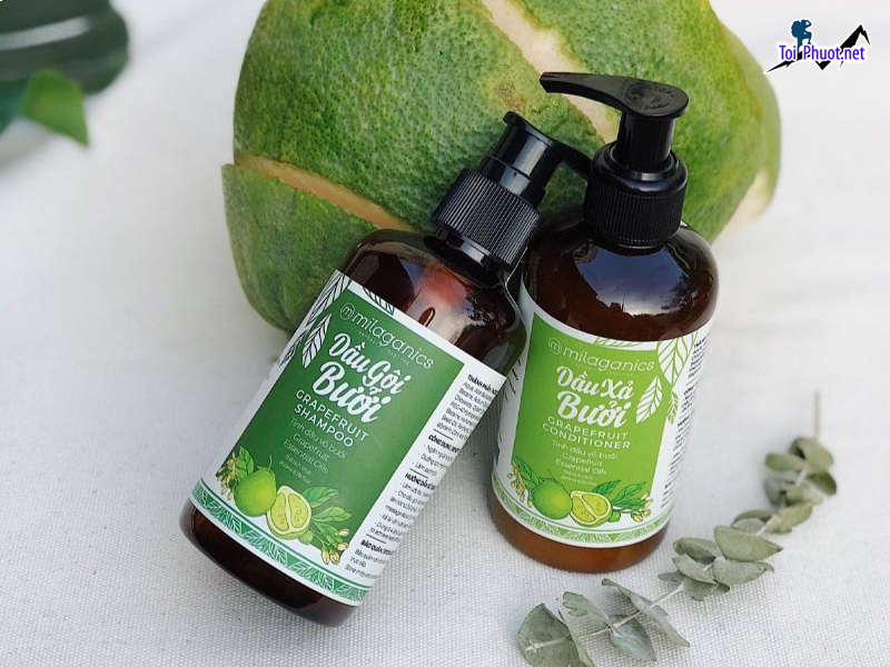 Top 5 Địa chỉ mua tinh dầu tốt nhất Nghệ An uy tín chất lượng (1)