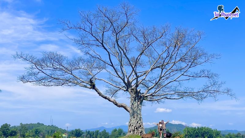 Top 5 Địa điểm đi chơi cuối tuần tại Đắk Lắk cho chuyến đi hoàn hảo (2)