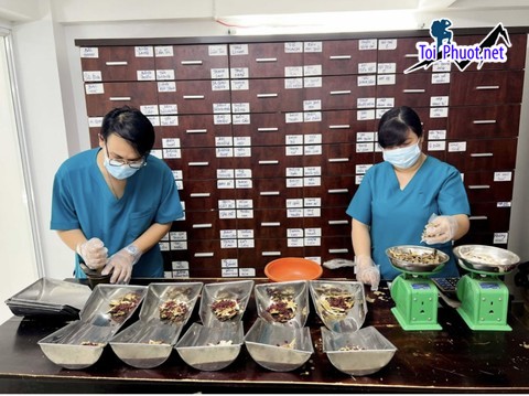 Top 5 Phòng khám Đông y nổi tiếng và uy tín nhất Tây Ninh nổi bật (1)