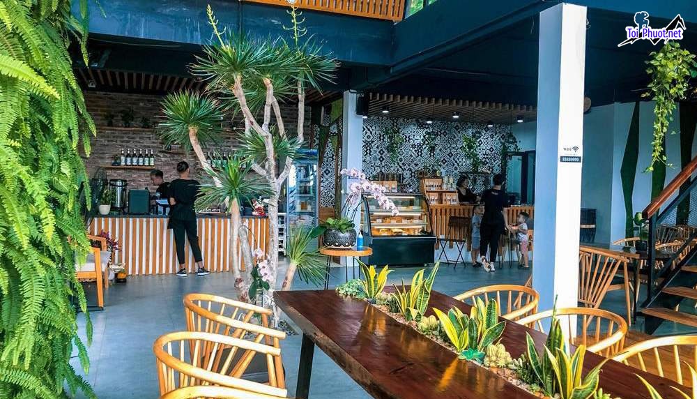 Top 5 Phòng trà nổi tiếng nhất Sơn La Có View Sống Ảo Đẹp (1)