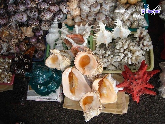 Top 5 Shop quà lưu niệm chất lượng nhất ở Đắk Lắk cực kì ý nghĩa (2)