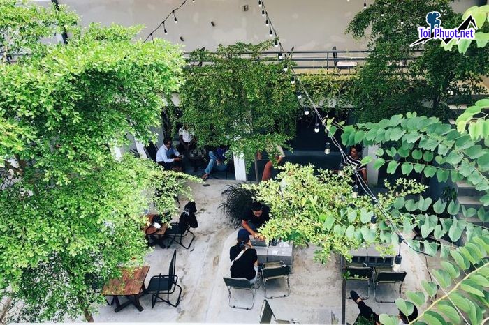 Top 6 Quán cà phê yên tĩnh, thích hợp tự học Lâm Đồng có đồ ăn ngon (1)