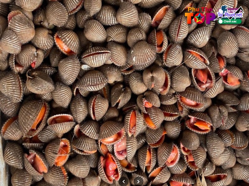 Top 7 Địa chỉ bán hải sản tươi sống chất lượng nhất Đồng Nai chất lượng cao với mức giá hợp lý (4)