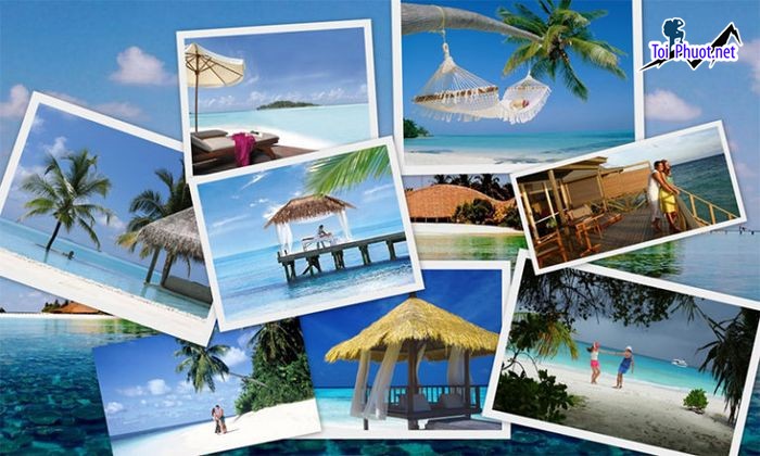 Top 9 Công ty du lịch uy tín nhất Quảng Ninh trọn gói  (3)