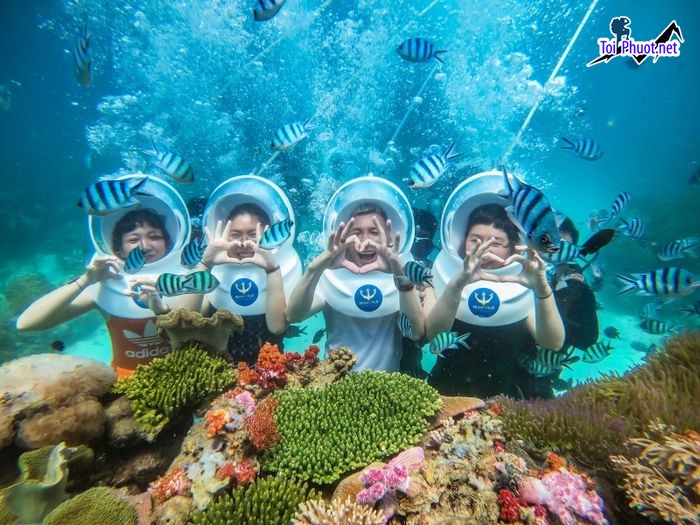 Top 9 Công ty du lịch tại uy tín nhất Quảng Ninh trọn gói (5)