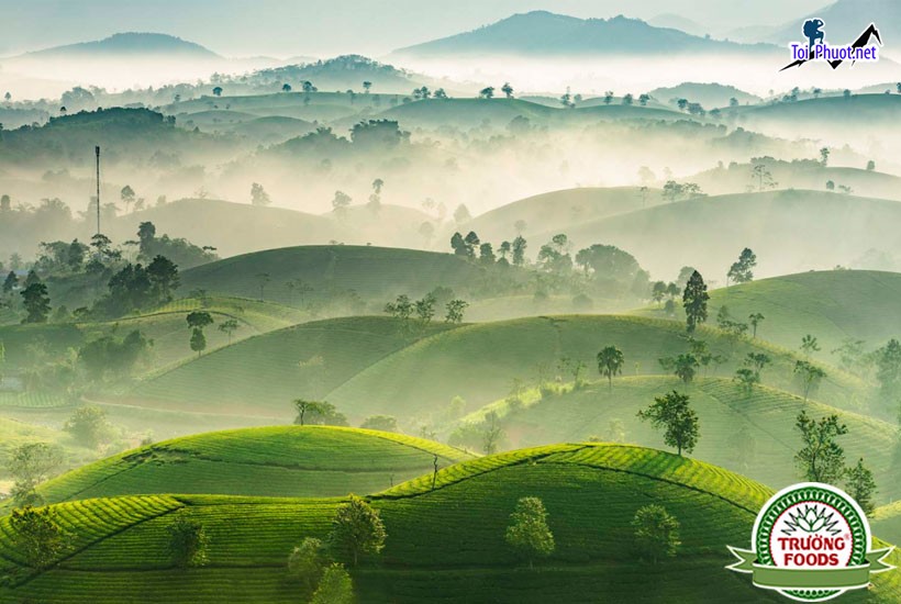 Top 9 Danh lam thắng cảnh đẹp nhất tại Phú Thọ thu hút riêng biệt khi đến đây (1)