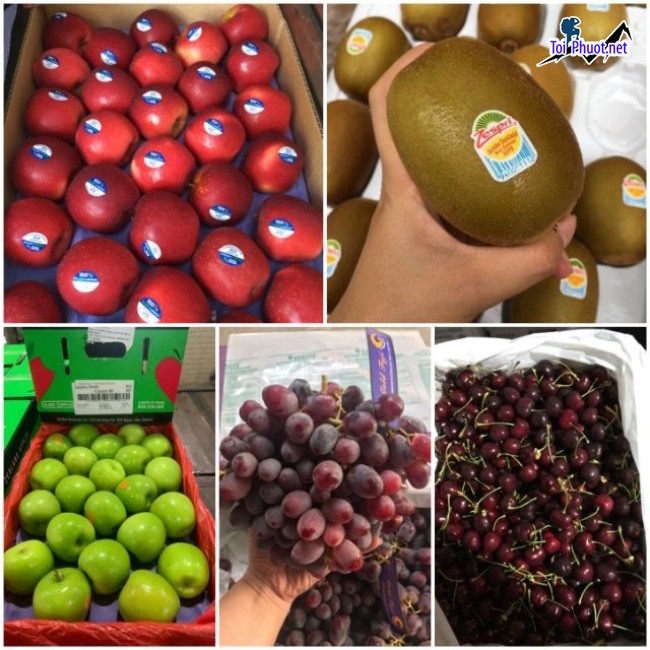 Top 9 Địa chỉ bán trái cây nhập khẩu chất lượng Đắk Lắk giá thành tốt (5)
