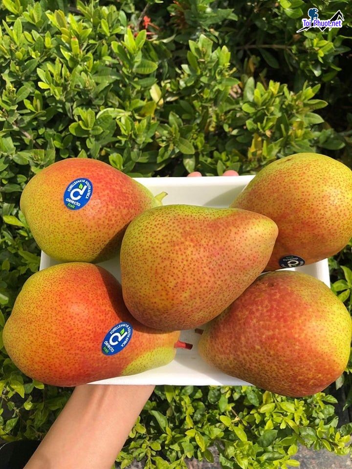Top 9 Địa chỉ bán trái cây nhập khẩu chất lượng Lai Châu cam kết chất lượng (4)
