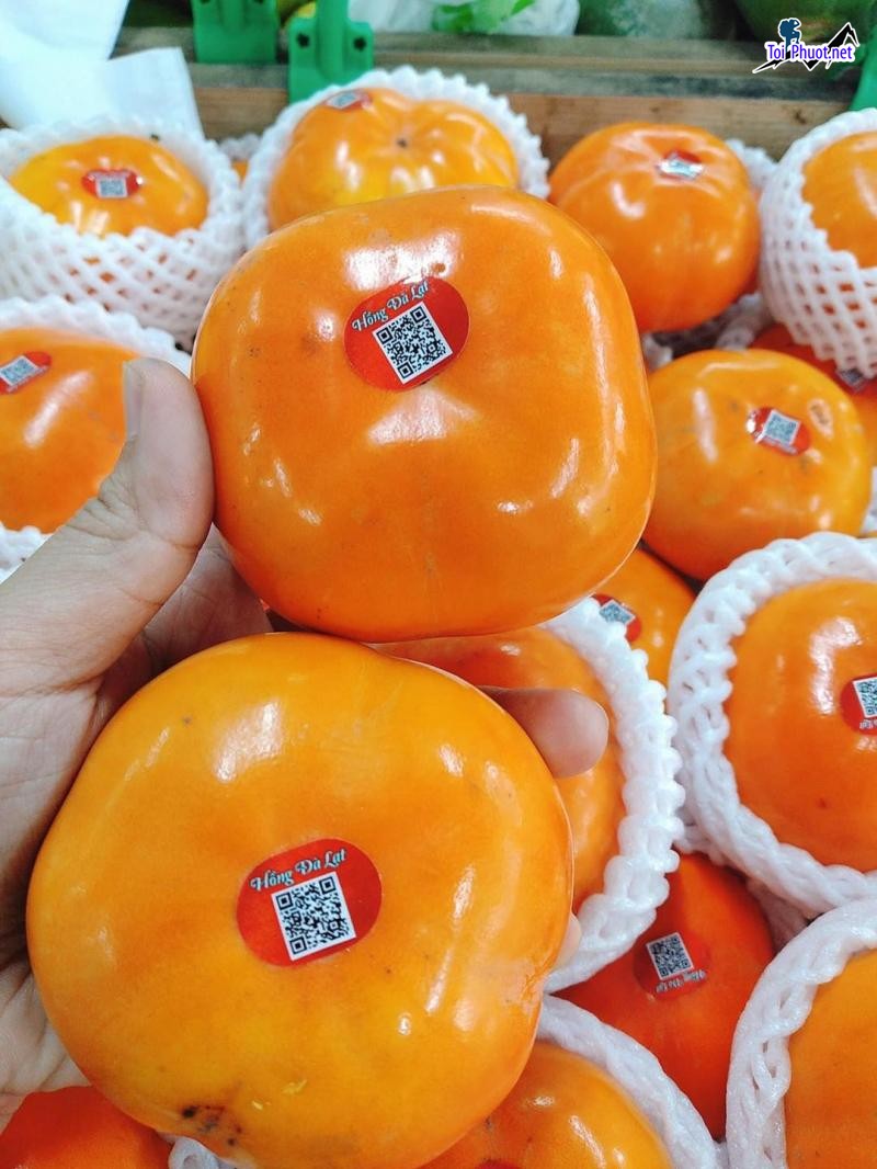 Top 9 Địa chỉ bán trái cây nhập khẩu chất lượng Lai Châu cam kết chất lượng (5)
