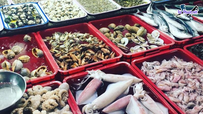 Top Địa chỉ bán hải sản tươi sống chất lượng nhất Lâm Đồng tươi ngon (2)
