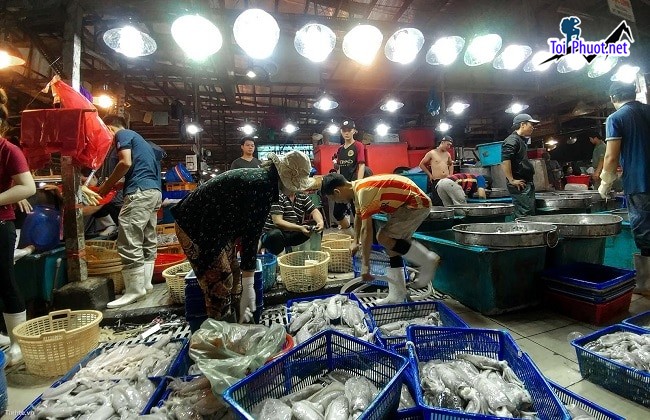 Top Địa chỉ bán hải sản tươi sống chất lượng nhất Lâm Đồng tươi ngon (3)