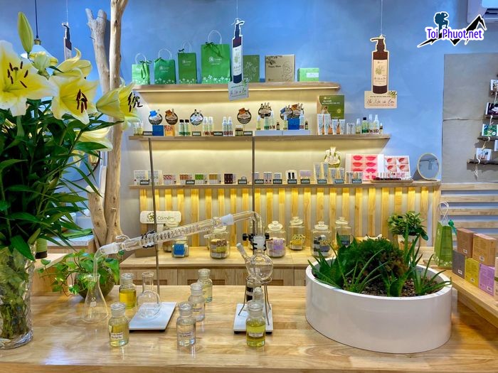 Top Địa chỉ mua nước hoa uy tín nhất tạiTuyên Quang trải nghiệm mua sắm đẳng cấp (3)