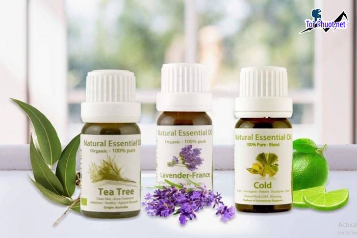 Top Địa chỉ mua tinh dầu tốt nhất Phú Thọ chất lượng đảm bảo (2)