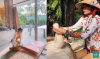 Top 10 Làng nghề truyền thống nổi tiếng nhất Cần Thơ nổi tiếng lâu dài