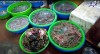 Top Địa chỉ bán hải sản tươi sống chất lượng nhất Gia Lai  thoải mái lựa chọn