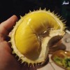 Top 2 cung cấp bán sầu riêng giá rẻ tốt chất lượng Buôn Ma Thuột Đắk Lắk uy tín