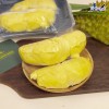 Top 2 cung cấp bán sầu riêng giá rẻ tốt chất lượng Phủ Lý Hà Nam trái to