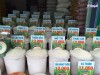 Top 3 cửa hàng gạo gần đây chất lượng Đồng Hới Quảng Bình dễ tiếp cận