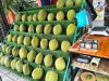 Top 3 cung cấp bán sầu riêng giá rẻ tốt chất lượng Cần Thơ để phân phối