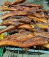 Top 3 địa chỉ bán cung cấp heo 1 nắng giá rẻ sỉ ngon Rạch Giá Kiên Giang tốt nhất