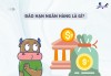 Top 3 dịch vụ đáo hạn ngân hàng giá rẻ Cần Thơ uy tín (2)