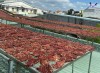 Top 4 bán cung cấp bò 1 nắng giá rẻ sỉ ngon Lào Cai không thể bỏ lỡ