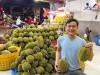 Top 4 cung cấp bán sầu riêng giá rẻ tốt chất lượng Hải Dương làm bạn hài lòng