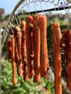Top 5 nơi bán cung cấp heo 1 nắng giá rẻ sỉ ngon Bắc Kạn hiệu quả