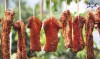 Top 6 bán cung cấp heo 1 nắng giá rẻ sỉ ngon Vĩnh Long có giấy chứng nhận