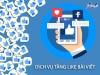 Top 6 dịch vụ tăng like giá rẻ chất Bến Tre hỗ trợ kinh doanh buôn bán