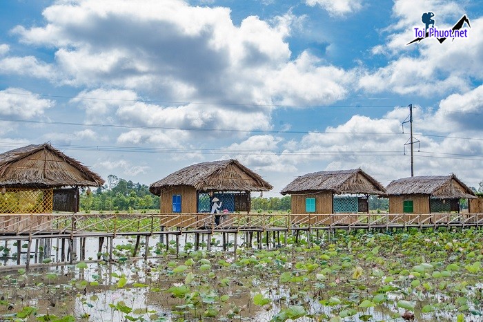 Chuyến đi đáng nhớ Kinh Nghiệm du lịch Cao Lãnh Đồng Tháp (1)