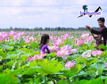 Chuyến đi đáng nhớ Kinh Nghiệm du lịch Cao Lãnh Đồng Tháp (3)